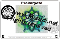 Prokaryote card
